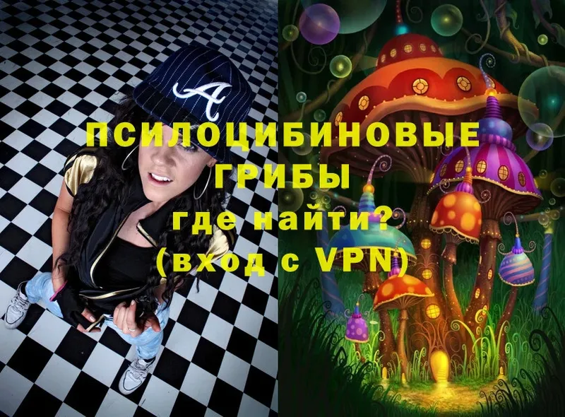 дарнет шоп  Лысково  Псилоцибиновые грибы Magic Shrooms 